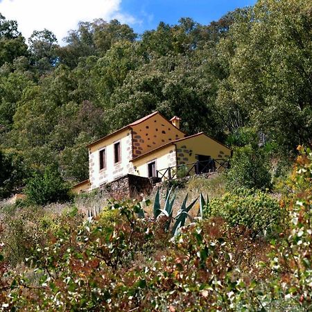 Casa Rural Las Caldereras Teror Bagian luar foto