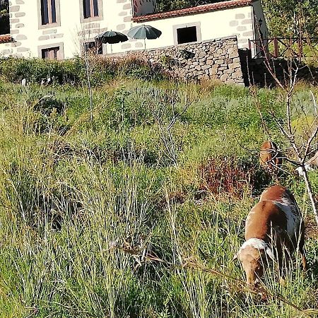 Casa Rural Las Caldereras Teror Bagian luar foto