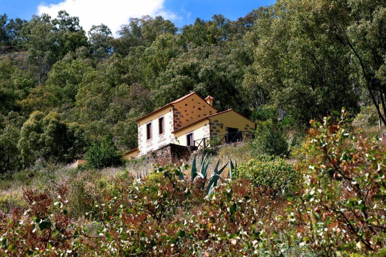 Casa Rural Las Caldereras Teror Bagian luar foto